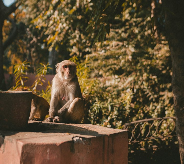 Agra, India