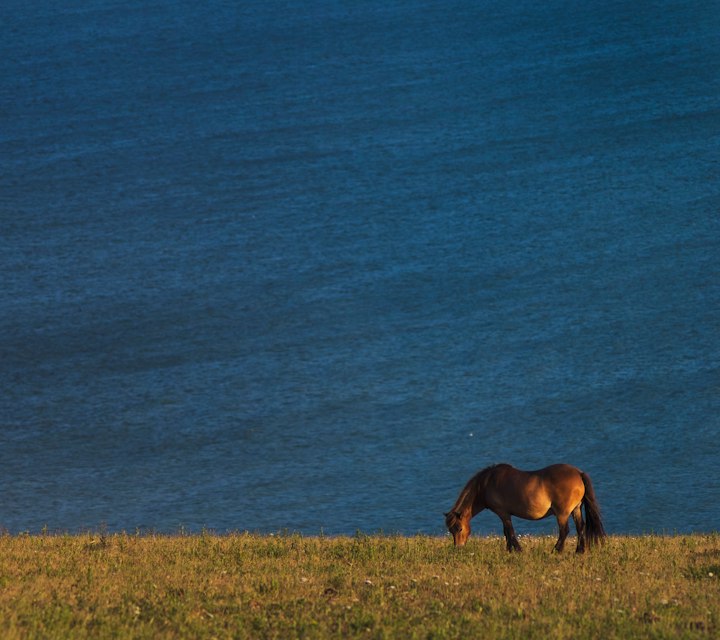 Dover, United Kingdom