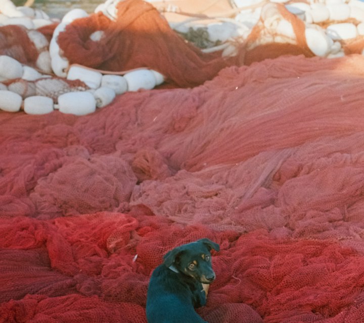 Essaouira, Morocco