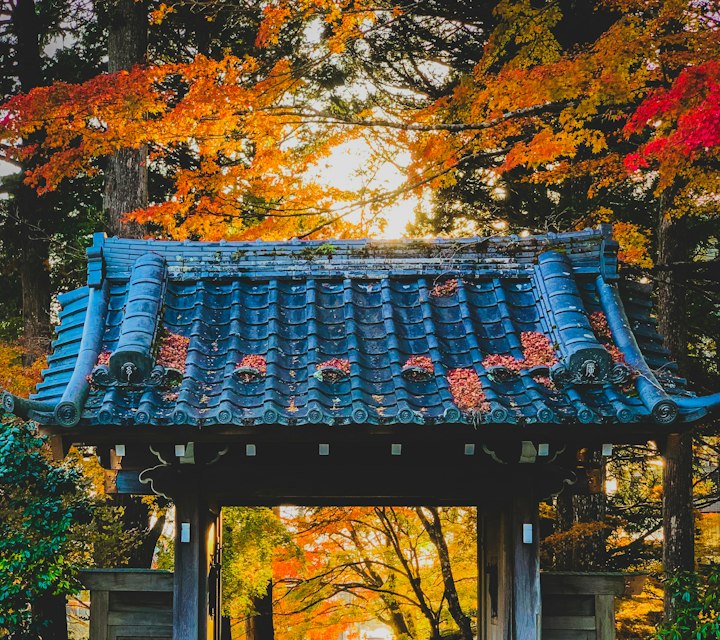 Japan