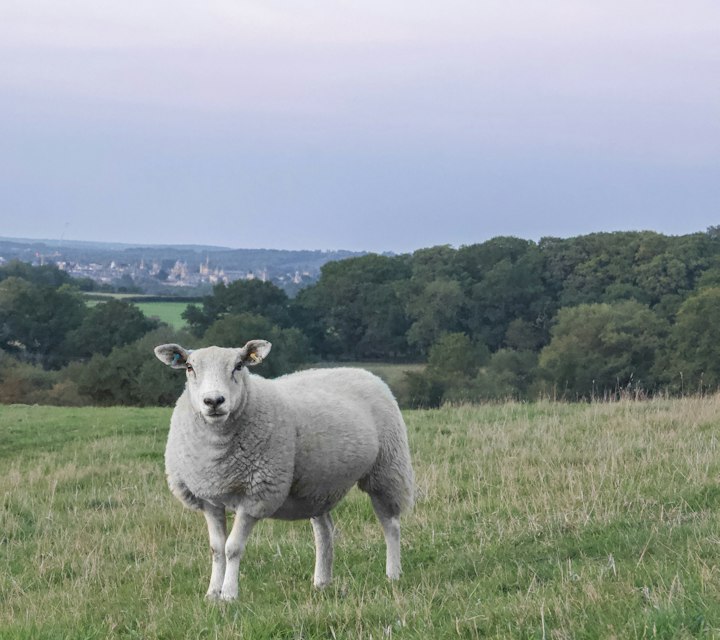 Oxford, United Kingdom