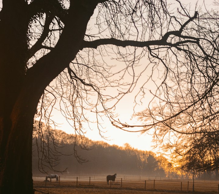 Salisbury, United Kingdom